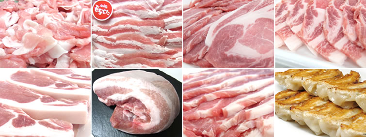 和豚もちぶた 肉の日プレゼント - (有)関口肉店